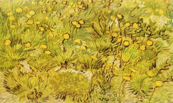 Vincent Van Gogh : A Field of Yellow Flowers